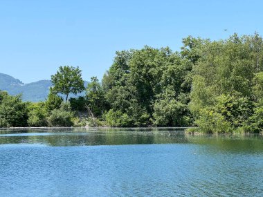 Eski Ren Doğa Parkı, Lustenau (Avusturya) - Vorfruehlings Stimmung im Naturpark Alter Rhein oder Naturpark am Alten Rhein, Lustenau - Oesterreich (Oesterreich)