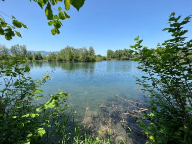 Eski Ren Doğa Parkı, Lustenau (Avusturya) - Vorfruehlings Stimmung im Naturpark Alter Rhein oder Naturpark am Alten Rhein, Lustenau - Oesterreich (Oesterreich)
