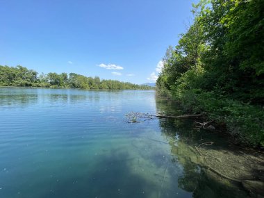 Eski Ren Doğa Parkı, Lustenau (Avusturya) - Vorfruehlings Stimmung im Naturpark Alter Rhein oder Naturpark am Alten Rhein, Lustenau - Oesterreich (Oesterreich)