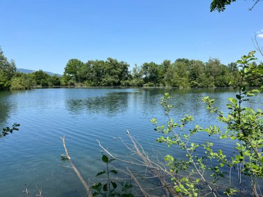 Eski Ren Doğa Parkı, Lustenau (Avusturya) - Vorfruehlings Stimmung im Naturpark Alter Rhein oder Naturpark am Alten Rhein, Lustenau - Oesterreich (Oesterreich)