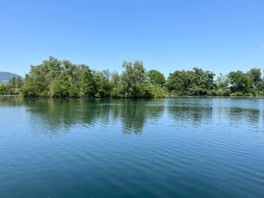 Eski Ren Doğa Parkı, Lustenau (Avusturya) - Vorfruehlings Stimmung im Naturpark Alter Rhein oder Naturpark am Alten Rhein, Lustenau - Oesterreich (Oesterreich)
