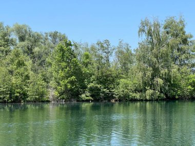 Eski Ren Doğa Parkı, Lustenau (Avusturya) - Vorfruehlings Stimmung im Naturpark Alter Rhein oder Naturpark am Alten Rhein, Lustenau - Oesterreich (Oesterreich)