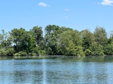 Eski Ren Doğa Parkı, Lustenau (Avusturya) - Vorfruehlings Stimmung im Naturpark Alter Rhein oder Naturpark am Alten Rhein, Lustenau - Oesterreich (Oesterreich)