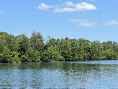 Eski Ren Doğa Parkı, Lustenau (Avusturya) - Vorfruehlings Stimmung im Naturpark Alter Rhein oder Naturpark am Alten Rhein, Lustenau - Oesterreich (Oesterreich)
