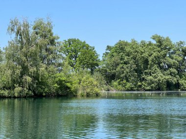 Eski Ren Doğa Parkı, Lustenau (Avusturya) - Vorfruehlings Stimmung im Naturpark Alter Rhein oder Naturpark am Alten Rhein, Lustenau - Oesterreich (Oesterreich)