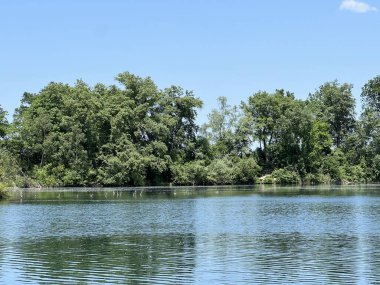 Eski Ren Doğa Parkı, Lustenau (Avusturya) - Vorfruehlings Stimmung im Naturpark Alter Rhein oder Naturpark am Alten Rhein, Lustenau - Oesterreich (Oesterreich)
