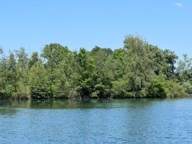 Eski Ren Doğa Parkı, Lustenau (Avusturya) - Vorfruehlings Stimmung im Naturpark Alter Rhein oder Naturpark am Alten Rhein, Lustenau - Oesterreich (Oesterreich)