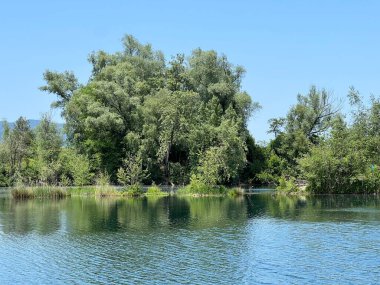 Eski Ren Doğa Parkı, Lustenau (Avusturya) - Vorfruehlings Stimmung im Naturpark Alter Rhein oder Naturpark am Alten Rhein, Lustenau - Oesterreich (Oesterreich)