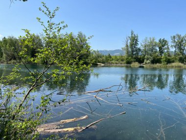 Eski Ren Doğa Parkı, Lustenau (Avusturya) - Vorfruehlings Stimmung im Naturpark Alter Rhein oder Naturpark am Alten Rhein, Lustenau - Oesterreich (Oesterreich)