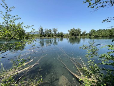 Eski Ren Doğa Parkı, Lustenau (Avusturya) - Vorfruehlings Stimmung im Naturpark Alter Rhein oder Naturpark am Alten Rhein, Lustenau - Oesterreich (Oesterreich)