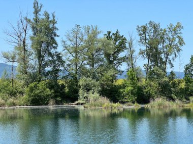 Eski Ren Doğa Parkı, Lustenau (Avusturya) - Vorfruehlings Stimmung im Naturpark Alter Rhein oder Naturpark am Alten Rhein, Lustenau - Oesterreich (Oesterreich)