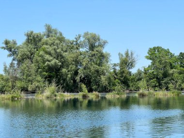 Eski Ren Doğa Parkı, Lustenau (Avusturya) - Vorfruehlings Stimmung im Naturpark Alter Rhein oder Naturpark am Alten Rhein, Lustenau - Oesterreich (Oesterreich)