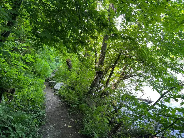 stock image Sports and recreational trails in the Old Rhine Nature Park, Lustenau (Austria) - Sport- und Freizeitwege im Naturpark Alter Rhein oder Naturpark am Alten Rhein, Lustenau - Oesterreich (Osterreich)