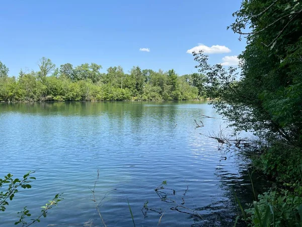 stock image Summer atmosphere in the Old Rhine Nature Park, Lustenau (Austria) - Vorfruehlings Stimmung im Naturpark Alter Rhein oder Naturpark am Alten Rhein, Lustenau - Oesterreich (Oesterreich)