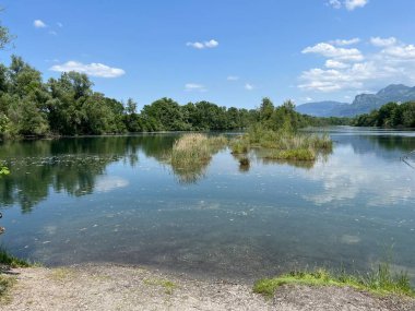 Eski Ren, Diepoldsau - İsviçre (Vorfruehlings Stimmung im Natur- und Landschaftsschutzgebiet Alter Rhein, Schweiz)