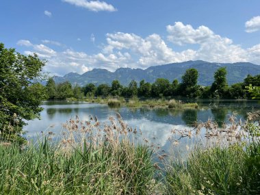 Eski Ren, Diepoldsau - İsviçre (Vorfruehlings Stimmung im Natur- und Landschaftsschutzgebiet Alter Rhein, Schweiz)
