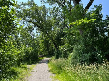 Doğa ve peyzaj koruma alanında spor ve eğlence yolları, Diepoldsau - İsviçre (Sport- und Freizeitwege im Natur- und Landschaftsschutzgebiet Alter Rhein, Schweiz)