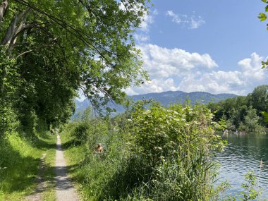 Doğa ve peyzaj koruma alanında spor ve eğlence yolları, Diepoldsau - İsviçre (Sport- und Freizeitwege im Natur- und Landschaftsschutzgebiet Alter Rhein, Schweiz)
