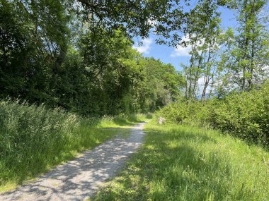 Doğa ve peyzaj koruma alanında spor ve eğlence yolları, Diepoldsau - İsviçre (Sport- und Freizeitwege im Natur- und Landschaftsschutzgebiet Alter Rhein, Schweiz)