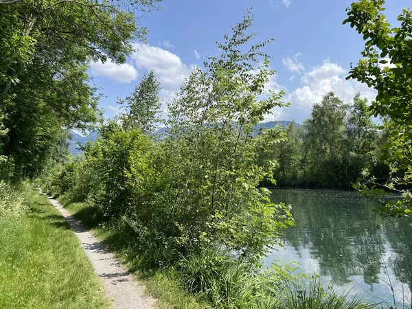 自然と景観保護地域のスポーツとレクリエーションコース Diepoldsau スイス スポーツ とFreizeitwege Nature Und Landschaftsschutzgebiet Alter Lein — ストック写真
