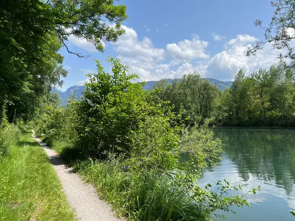 自然と景観保護地域のスポーツとレクリエーションコース Diepoldsau スイス スポーツ とFreizeitwege Nature Und Landschaftsschutzgebiet Alter Lein — ストック写真