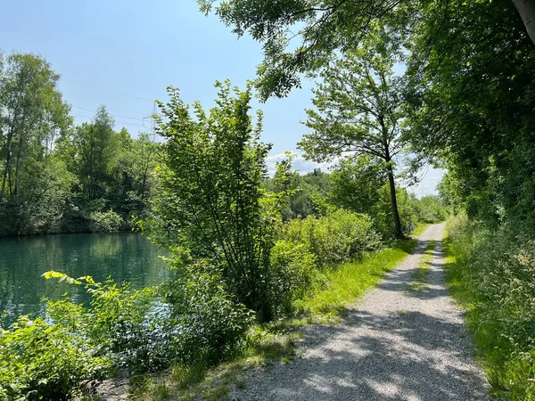 stock image Sports and recreational trails in the Nature and landscape protection area, Diepoldsau - Switzerland (Sport- und Freizeitwege im Natur- und Landschaftsschutzgebiet Alter Rhein, Schweiz)