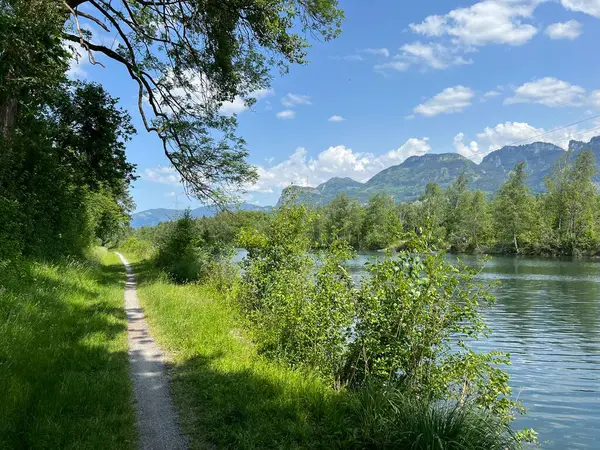 Doğa ve peyzaj koruma alanında spor ve eğlence yolları, Diepoldsau - İsviçre (Sport- und Freizeitwege im Natur- und Landschaftsschutzgebiet Alter Rhein, Schweiz)