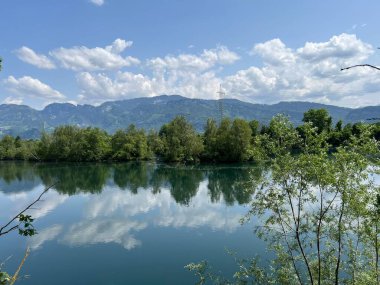 Eski Ren, Diepoldsau - İsviçre (Vorfruehlings Stimmung im Natur- und Landschaftsschutzgebiet Alter Rhein, Schweiz)
