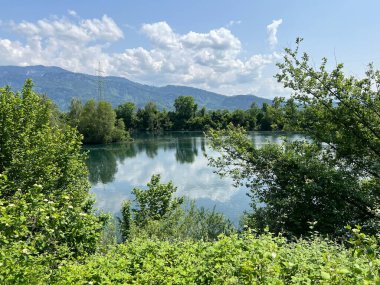 Eski Ren, Diepoldsau - İsviçre (Vorfruehlings Stimmung im Natur- und Landschaftsschutzgebiet Alter Rhein, Schweiz)