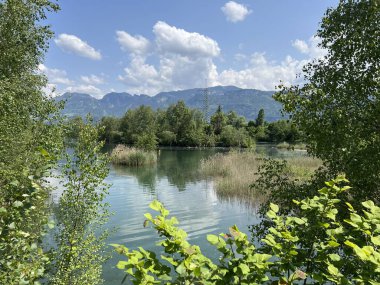 Eski Ren, Diepoldsau - İsviçre (Vorfruehlings Stimmung im Natur- und Landschaftsschutzgebiet Alter Rhein, Schweiz)