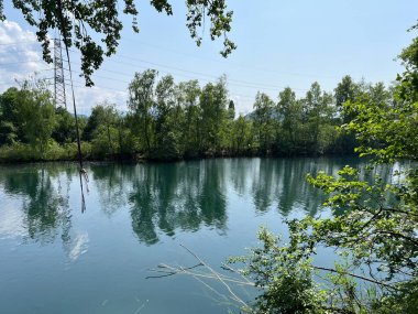 Eski Ren, Diepoldsau - İsviçre (Vorfruehlings Stimmung im Natur- und Landschaftsschutzgebiet Alter Rhein, Schweiz)