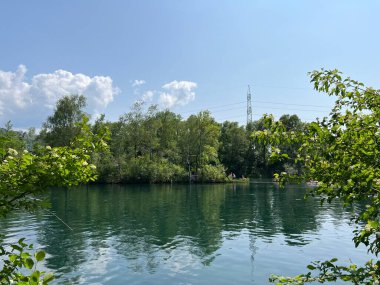 Eski Ren, Diepoldsau - İsviçre (Vorfruehlings Stimmung im Natur- und Landschaftsschutzgebiet Alter Rhein, Schweiz)