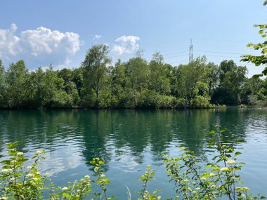 Eski Ren, Diepoldsau - İsviçre (Vorfruehlings Stimmung im Natur- und Landschaftsschutzgebiet Alter Rhein, Schweiz)