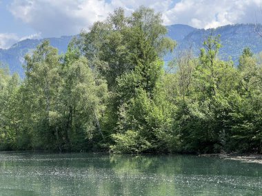 Eski Ren, Diepoldsau - İsviçre (Vorfruehlings Stimmung im Natur- und Landschaftsschutzgebiet Alter Rhein, Schweiz)