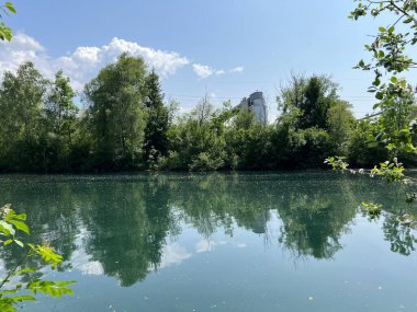 Eski Ren, Diepoldsau - İsviçre (Vorfruehlings Stimmung im Natur- und Landschaftsschutzgebiet Alter Rhein, Schweiz)