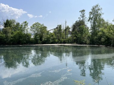 Eski Ren, Diepoldsau - İsviçre (Vorfruehlings Stimmung im Natur- und Landschaftsschutzgebiet Alter Rhein, Schweiz)