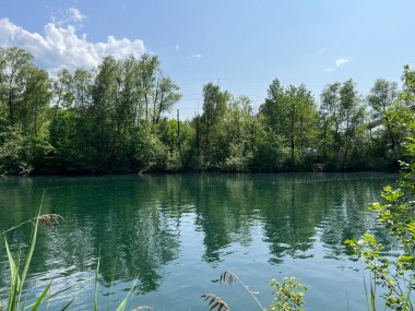 Eski Ren, Diepoldsau - İsviçre (Vorfruehlings Stimmung im Natur- und Landschaftsschutzgebiet Alter Rhein, Schweiz)