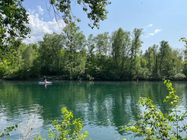 Eski Ren, Diepoldsau - İsviçre (Vorfruehlings Stimmung im Natur- und Landschaftsschutzgebiet Alter Rhein, Schweiz)