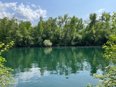 Eski Ren, Diepoldsau - İsviçre (Vorfruehlings Stimmung im Natur- und Landschaftsschutzgebiet Alter Rhein, Schweiz)