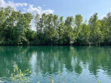 Eski Ren, Diepoldsau - İsviçre (Vorfruehlings Stimmung im Natur- und Landschaftsschutzgebiet Alter Rhein, Schweiz)