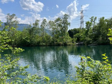 Eski Ren, Diepoldsau - İsviçre (Vorfruehlings Stimmung im Natur- und Landschaftsschutzgebiet Alter Rhein, Schweiz)