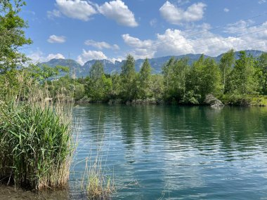 Eski Ren, Diepoldsau - İsviçre (Vorfruehlings Stimmung im Natur- und Landschaftsschutzgebiet Alter Rhein, Schweiz)