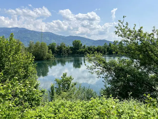 Eski Ren, Diepoldsau - İsviçre (Vorfruehlings Stimmung im Natur- und Landschaftsschutzgebiet Alter Rhein, Schweiz)