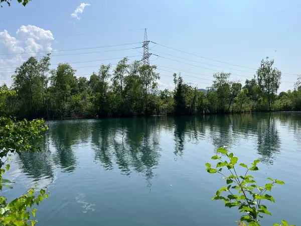 stock image Summer atmosphere in the Nature and landscape protection area Old Rhine, Diepoldsau - Switzerland (Vorfruehlings Stimmung im Natur- und Landschaftsschutzgebiet Alter Rhein, Schweiz)