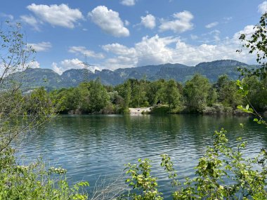 Eski Ren, Diepoldsau - İsviçre (Vorfruehlings Stimmung im Natur- und Landschaftsschutzgebiet Alter Rhein, Schweiz)