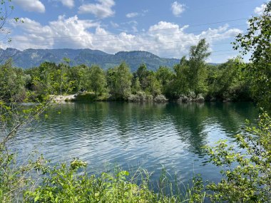 Eski Ren, Diepoldsau - İsviçre (Vorfruehlings Stimmung im Natur- und Landschaftsschutzgebiet Alter Rhein, Schweiz)