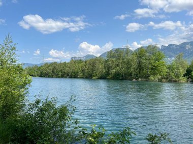 Eski Ren, Diepoldsau - İsviçre (Vorfruehlings Stimmung im Natur- und Landschaftsschutzgebiet Alter Rhein, Schweiz)