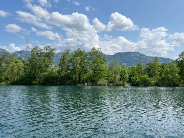 Eski Ren, Diepoldsau - İsviçre (Vorfruehlings Stimmung im Natur- und Landschaftsschutzgebiet Alter Rhein, Schweiz)
