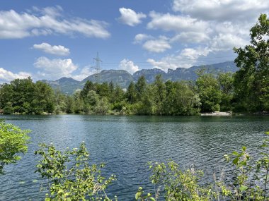 Eski Ren, Diepoldsau - İsviçre (Vorfruehlings Stimmung im Natur- und Landschaftsschutzgebiet Alter Rhein, Schweiz)