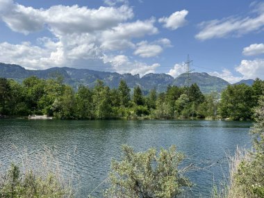Eski Ren, Diepoldsau - İsviçre (Vorfruehlings Stimmung im Natur- und Landschaftsschutzgebiet Alter Rhein, Schweiz)